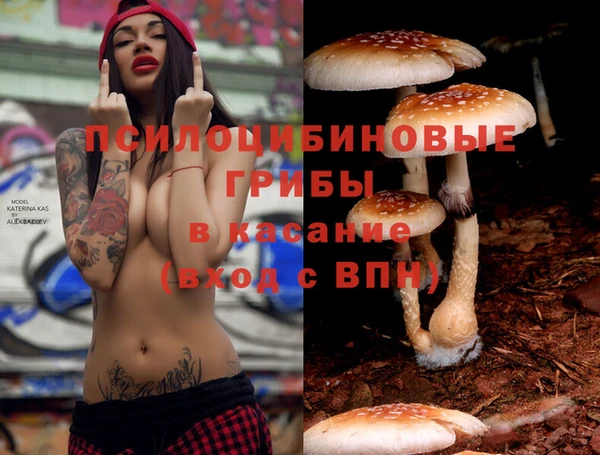 стаф Алексеевка